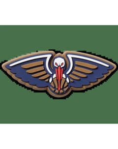 Джиббитсы NBA New Orleans Pelicans Crocs