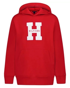 Детская толстовка с капюшоном H Pullover для мальчиков Tommy hilfiger
