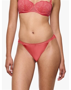 Безумная глупая любовь высокие трусики тай, Blood Orange Triumph