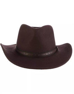Мужская фетровая шляпа Outback Overlay, коричневый Scala