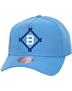 Мужская и женская синяя бейсболка Brooklyn Dodgers Basic Coop Pro Adjustable Mitchell and ness