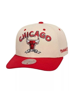 Мужская кремовая/красная кепка Snapback Chicago Bulls 6x NBA Champions Soul Legacy Defined, белый Mitchell and ness