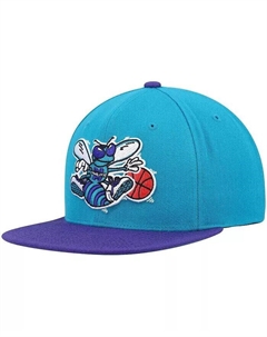 Мужская бирюзово-фиолетовая кепка Charlotte Hornets Hardwood Classics Team Two-Tone 2.0 Snapback Mitchell and ness