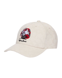 Женская фуражка, Beige Coach