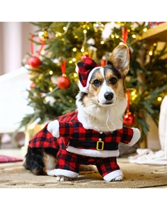 Костюм новогодний с колпаком Дед Мороз для собак, S, красный Petmax