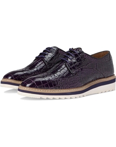 Оксфорды Men's Alario Wingtip Oxford, Purple Stacy adams