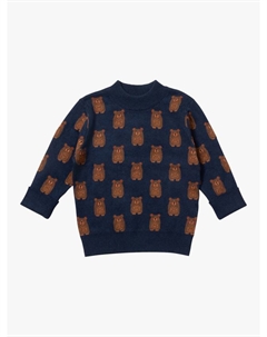 Детский хлопковый джемпер Teddy, Navy Little green radicals