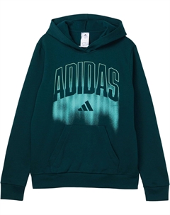 Мужской флисовый пуловер с капюшоном и рисунком, Dark Green Adidas kids