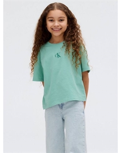 Детская хлопковая футболка с круглым вырезом, Tickled Green Calvin klein