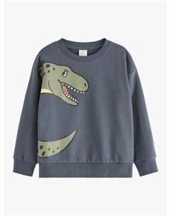 Детский свитшот с динозаврами из хлопковой смеси, Dark Grey Lindex