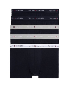 Трусы с логотипом на эластичном хлопковом поясе, Pack of 5, Desert Sky/Silver/White Tommy hilfiger
