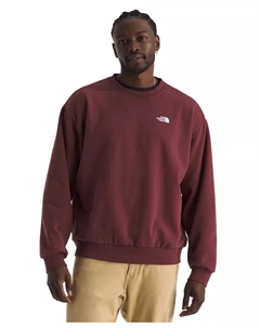 Мужская толстовка Evolution Simple Dome Oversize Crew, коричневый The north face