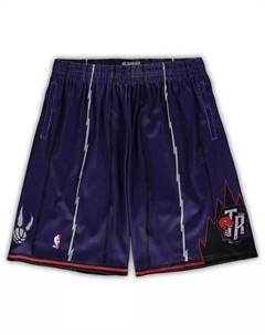 Мужские шорты Toronto Raptors Big Tall Hardwood Classics Team Swingman цвета пурпур от Mitchell Ness Mitchell and ness