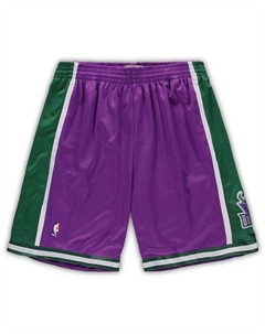 Мужские шорты Milwaukee Bucks Big and Tall Hardwood Classics Team Swingman, фиолетовые Mitchell and ness