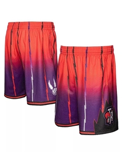 Мужские шорты Toronto Raptors 1998/99 Hardwood Classics Fadeaway Reload 3.0 Swingman, красные и фиолетовые Mitchell and ness