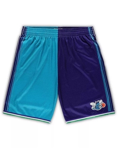 Мужские шорты Big and Tall Hardwood Classics Split Swingman Charlotte Hornets в бирюзовом и фиолетовом цветах Mitchell and ness