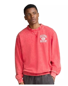 Мужской свитшот Time Capsule, красный Champion