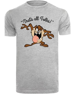 Футболка Looney Tunes Taz Thats All Folks, пестрый серый F4nt4stic