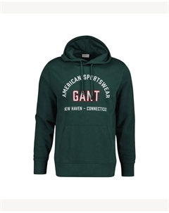 Мужская толстовка с капюшоном и графическим принтом, зеленый Gant