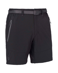 Мужские шорты Friz Ternua