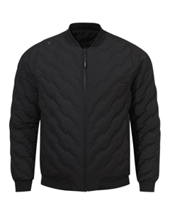 Мужская пуховая куртка, BLK0/Black Descente