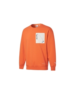 Roaringwild X Толстовка мужская оранжевая, оранжевый Puma