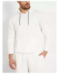 Мужская толстовка Jessen с капюшоном, белый Guess