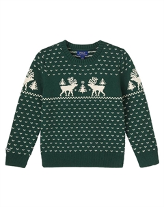 Свитер из смеси хлопка и шерсти, Green Combo Polo ralph lauren kids