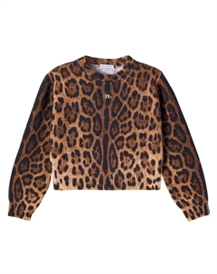 Свитер DG из шерсти жаккард с леопардовым принтом, Leo New Dolce & gabbana kids