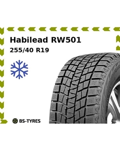 Зимние шины Habilead RW501 255/40 R19 100H