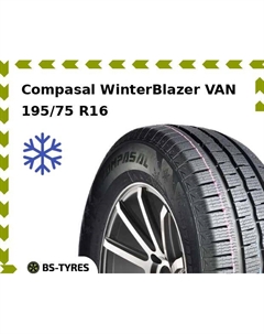 Зимние шины Compasal WinterBlazer VAN 195/75 R16C 107/105R