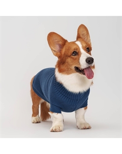 Свитер для собак, 4XL, синий Petmax