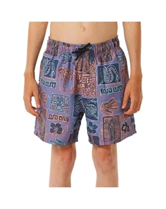 Шорты для плавания Lost Islands Tile Volley, мультиколор Rip curl