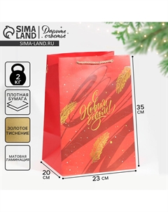 Пакет подарочный новогодний ламинированный Дарите счастье