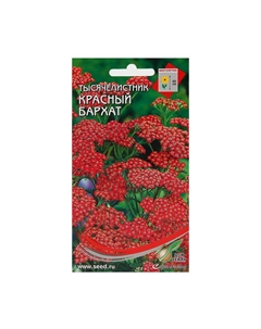 Набор семян тысячелистник Мой выбор