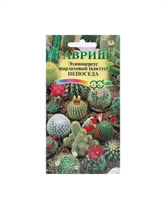 Набор семян комнатных кактус Мой выбор
