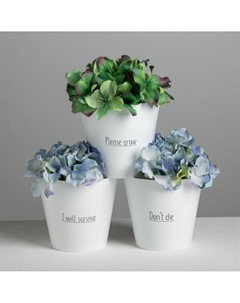 Набор кашпо 3 в 1 please grow, 0.8 л, 11×12 см Дарите счастье