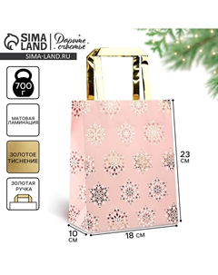 Пакет подарочный новогодний ламинированный Дарите счастье