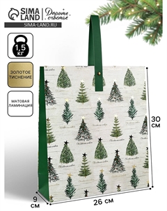 Пакет подарочный новогодний ламинированный Дарите счастье