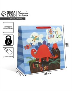 Пакет подарочный, упаковка Дарите счастье