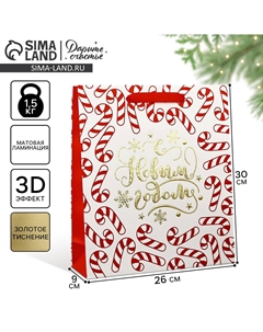 Пакет подарочный новогодний ламинированный Дарите счастье