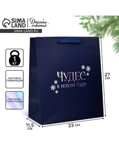 Пакет подарочный новогодний Дарите счастье