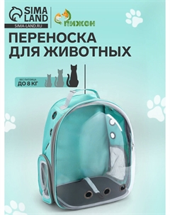 Рюкзак для переноски животных прозрачный, 31×28×42 см, бирюзовый Пижон