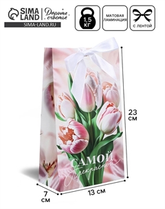 Пакет подарочный с лентой, упаковка Дарите счастье