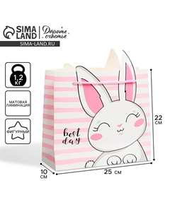 Пакет подарочный, упаковка Дарите счастье