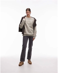 Толстовка свободного кроя реглан с вышитым логотипом плотностью 300 г/м², цвет «камень» Cat wwr