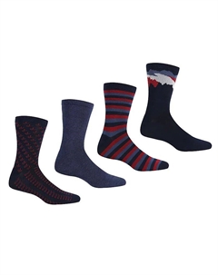 Комплект из 4 пар носков Lifestyle синего цвета Regatta