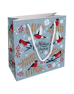 Пакет подарочный Frost, снегири, 20х20 см Be smart