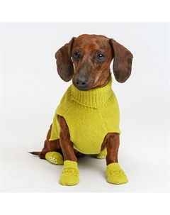 Свитер для кошек и собак, S, салатовый Rurri