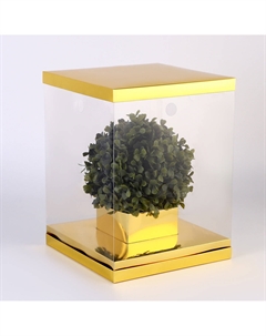 Коробка для цветов и букетов, с вазой и pvc окнами складная, 23×30×23 см, золото Upak land